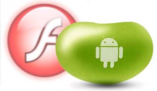 Adobe Flash Player 11 Android Jelly Bean Download apk come installare