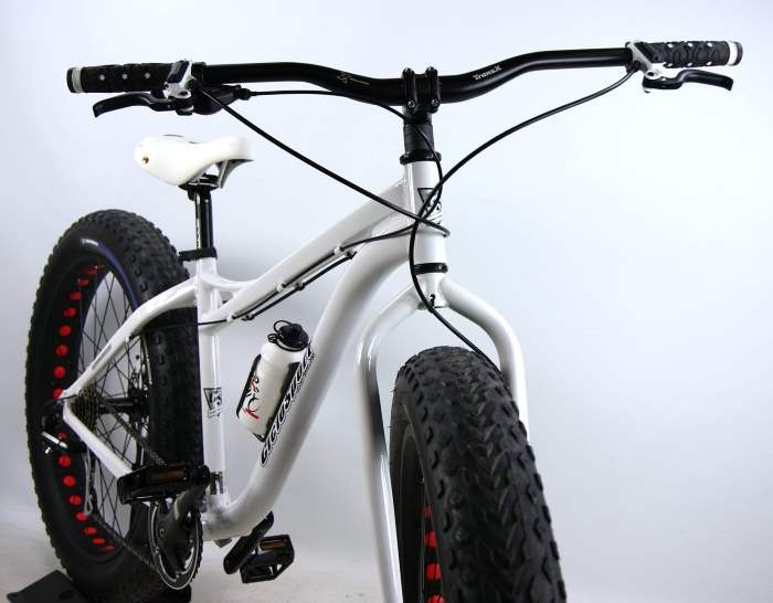 bicicletta con ruote grandi bicicletta con ruote grandi