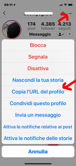 copiare url del profilo instagram